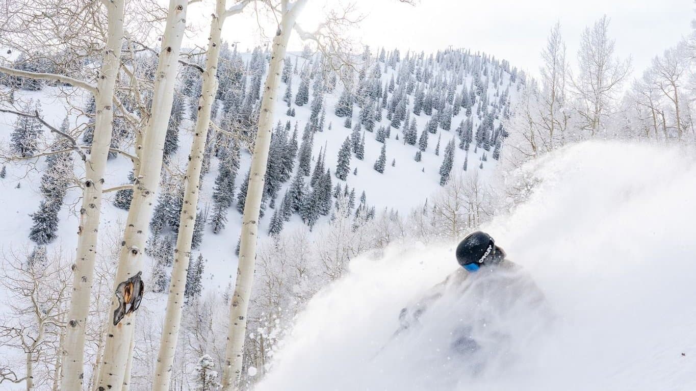 A skier in deep fresh snow between the aspen trees