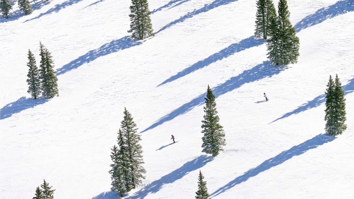 Skiers far below on a snowy slope dotted with pines, seen from above