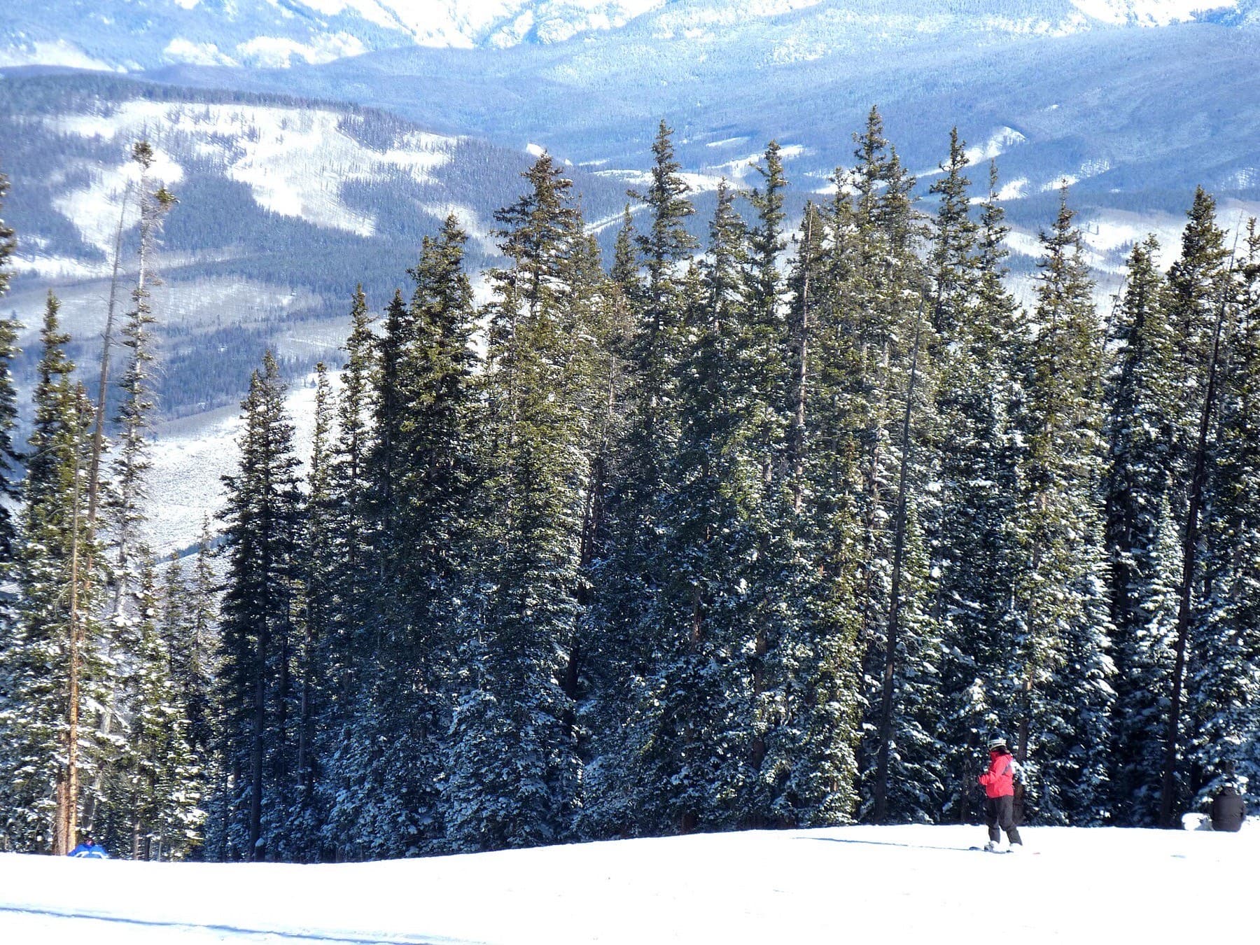 Groomed runs through the trees at Beaver Creek, Colorado