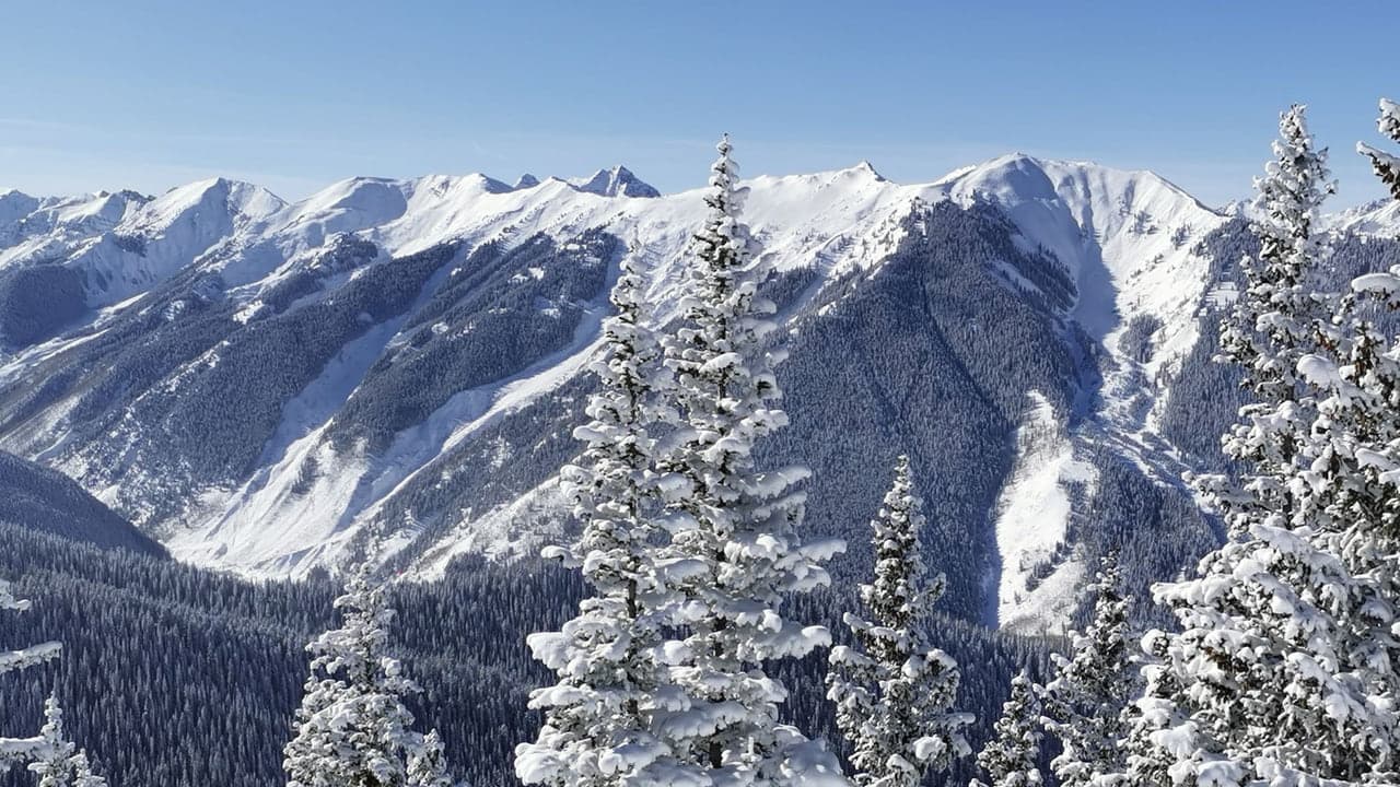 A wide view of snow covered mountains and pine trees in clear winter light, no people in frame