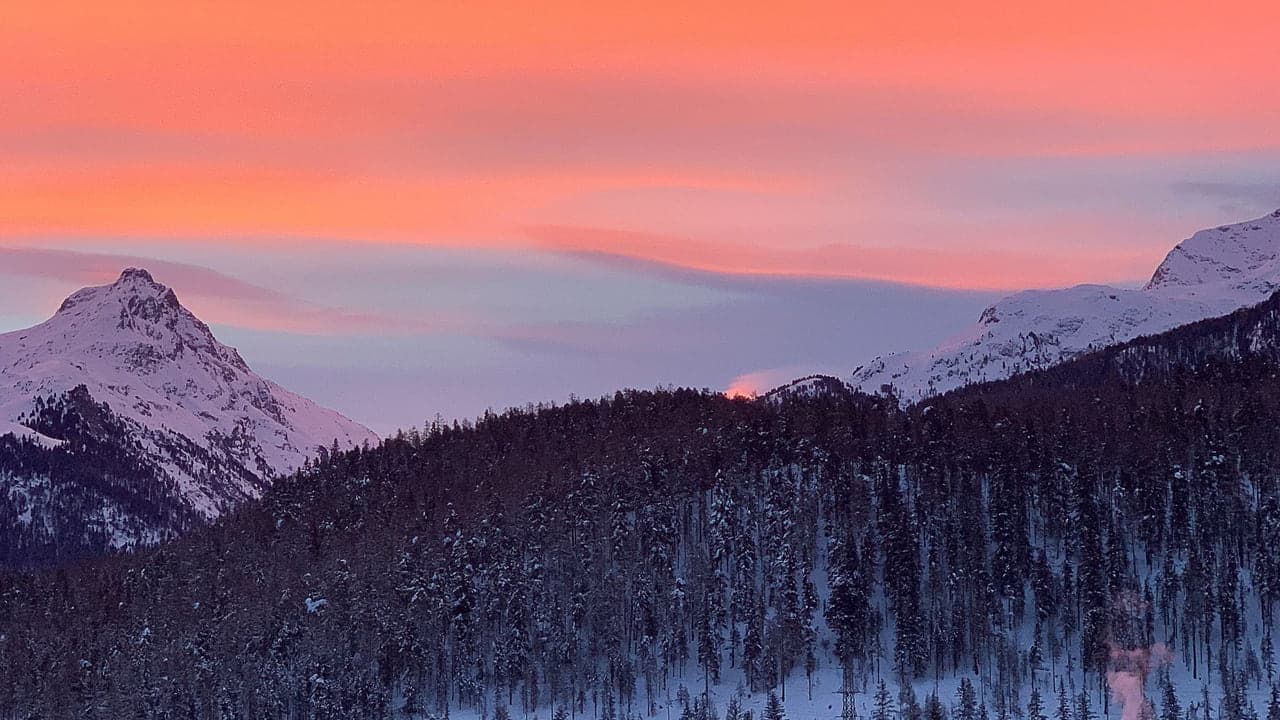 A ridge of snow covered mountains glowing orange and pink at sunset above a dark forest
