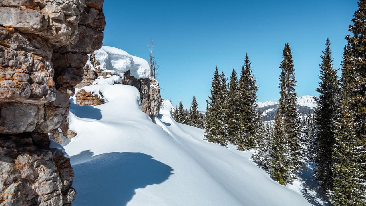 Snow laden pine trees above a groomed ski run cut through the mountainside