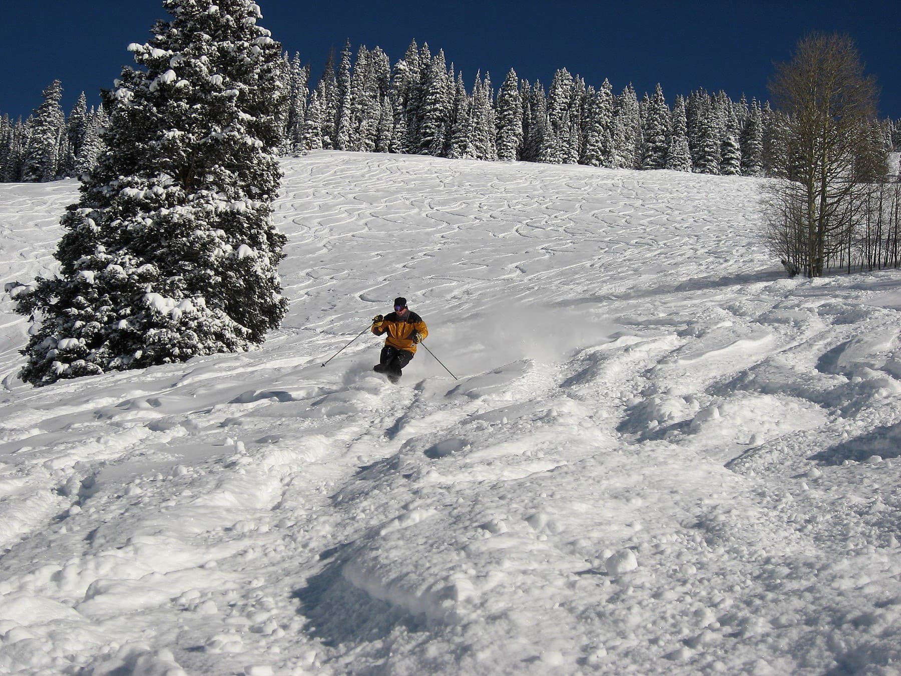 Open alpine bowls above Vail, Colorado