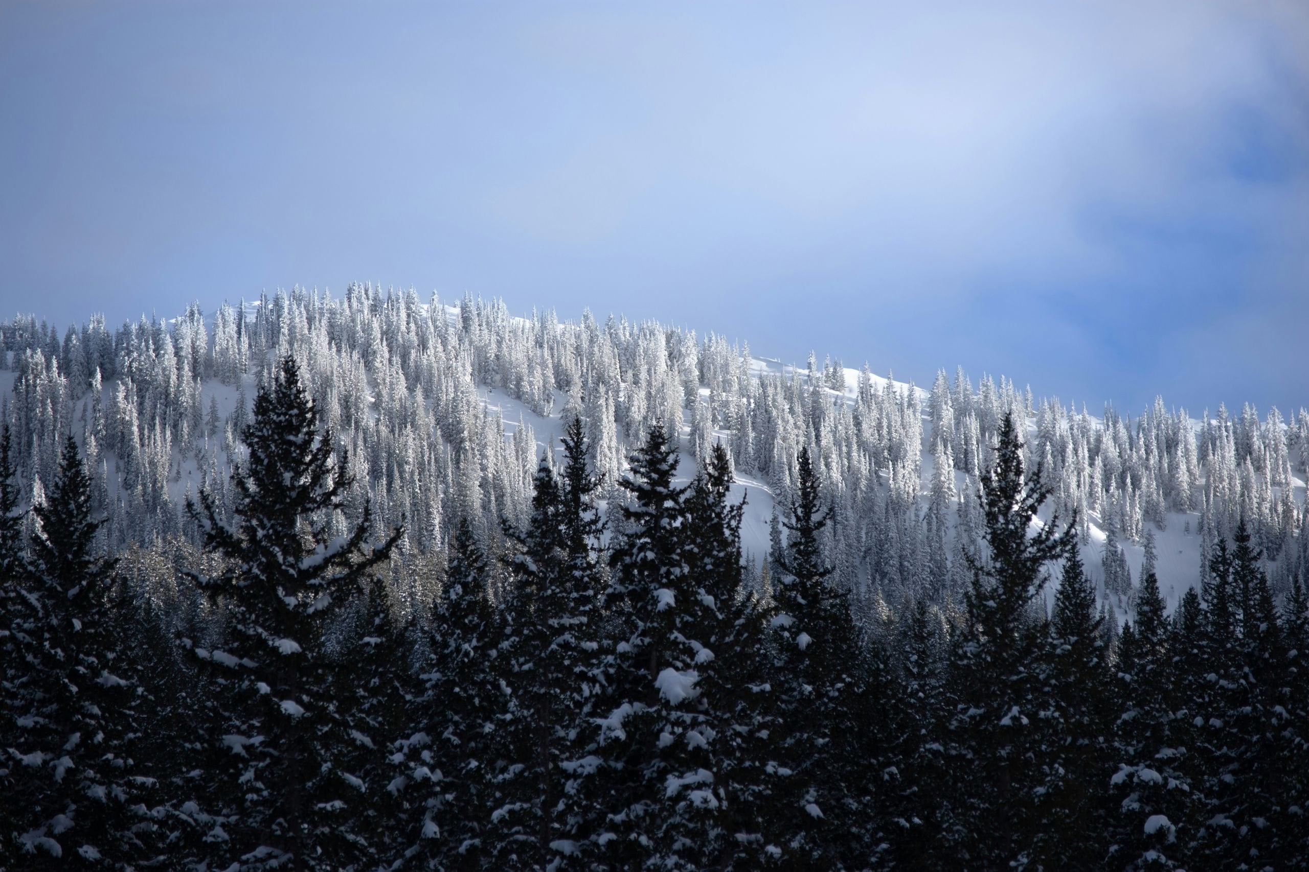 Skiing at Deer Valley, United States