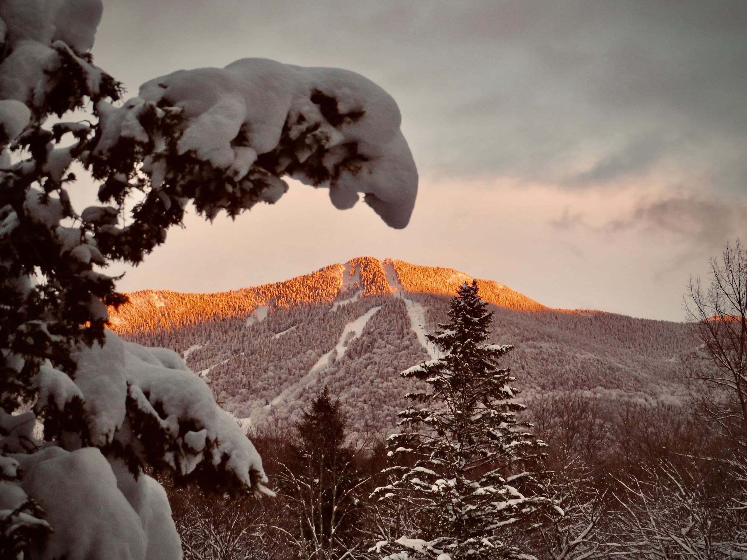 Stowe, United States